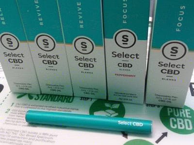 The Burning Moose , Brewer