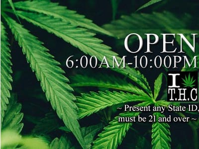 The Cake House - Needles