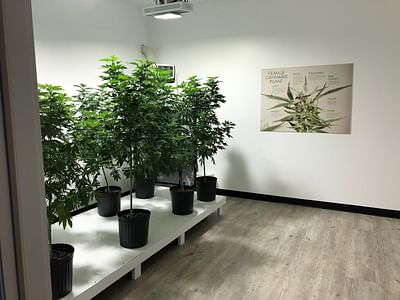 The CBD Centers/Alexandria