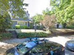 The CBD Kings | HealRain