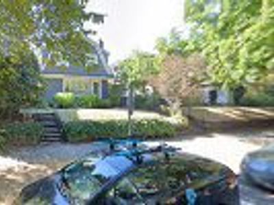 The CBD Kings | HealRain