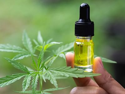The CBD Oil Pros | HealRain