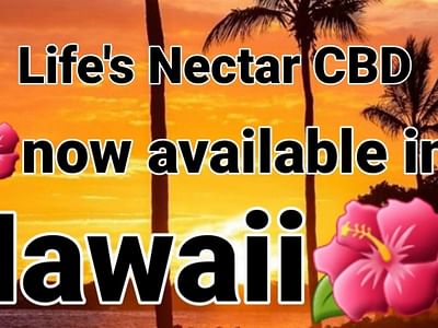 THE CBD Spot. * Cbd is our specialty *