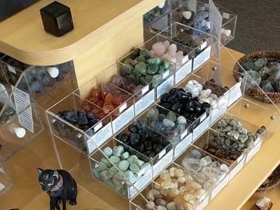 The Enchanted Elm CBD & Herbs