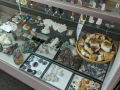 The Enchanted Elm CBD & Herbs