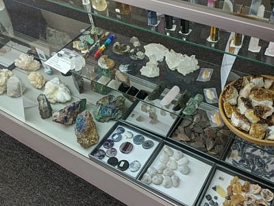 The Enchanted Elm CBD & Herbs