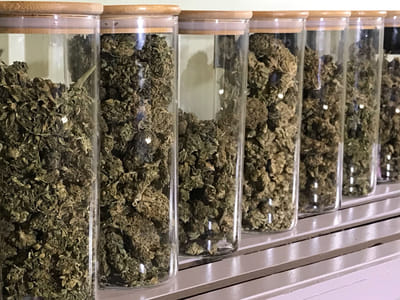 The Flower Shop Hemp & CBD Store