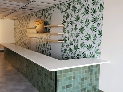 The Georgia Hemp Company & CBD