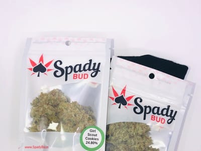 The Green Door Seattle