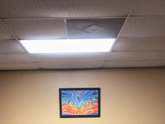 The Health Connection - CBD