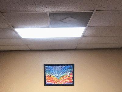 The Health Connection - CBD