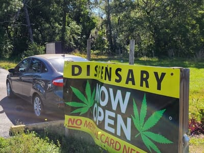 The Hemp Dispensary - Cannabis - Crystal River