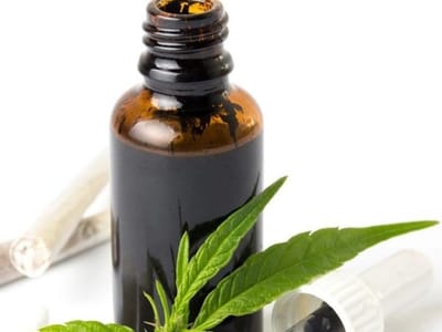 The Hemp Park CBD OIL Store and Vapes & Delta 8