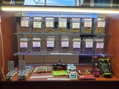 The Herbal Alternative