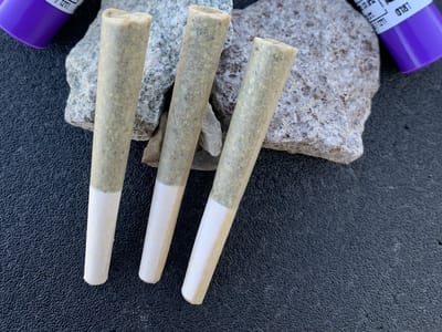 The Herbal Alternative