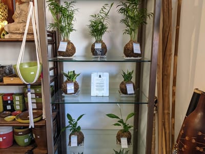 The Higher Consciousness