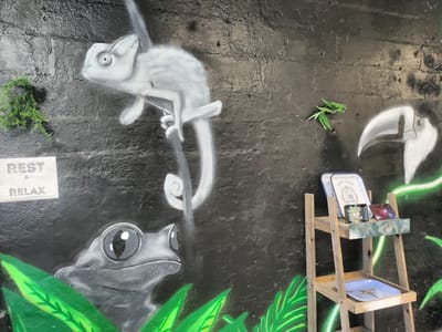 The Jungle Hemp & CBD Dispensary