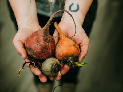 The Roaming Root Cellar