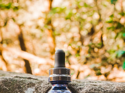 The Smoky Grass Station Suite