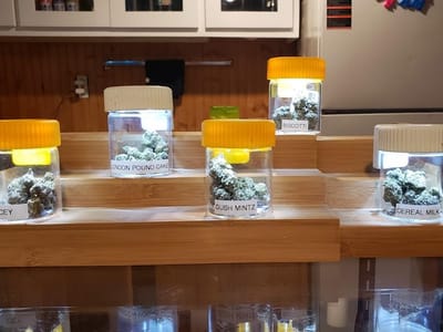 The Standard Bud Bar & Lounge | Cannabis Dispensary, Hemp Wellness, Smoke Shop, Vape Store