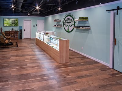 The Treehouse Remedy - CBD/Hemp Dispensary