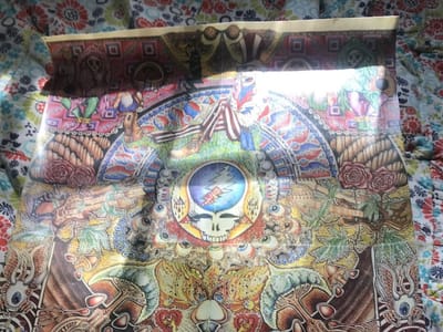 The Wellness Underground