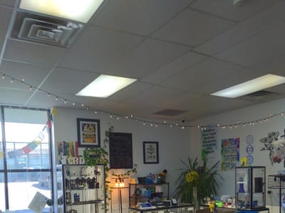 The Wellness Underground