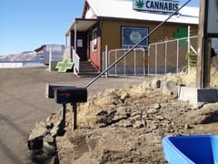 Three Kings Organics - 3 Kings Organics