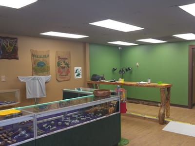 Three Kings Organics - 3 Kings Organics