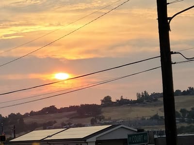 Thur's Smoke Shop LLC Recreational & Medical Cannabis