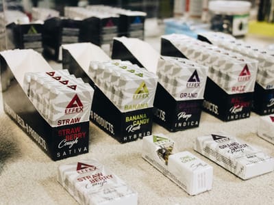 Top of the South CBD Dispensary