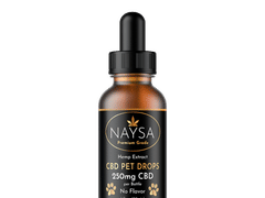 Tree of Holistic Health