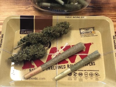 Treehouse CBD and Vape Shop