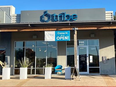 TRIBE CBD + Cannabinoids: Cultivating Wellness