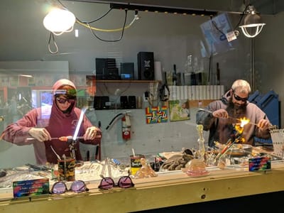 Trip On the Wild Side