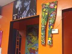 Trip On the Wild Side