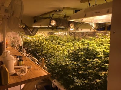 Trulieve Panama City Beach Dispensary