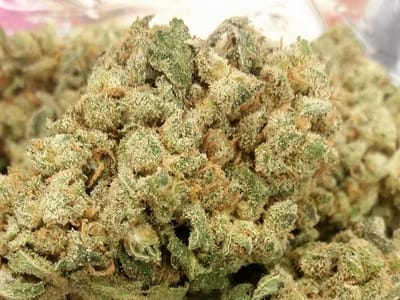 Tumbleweed's Dispensary & CBD