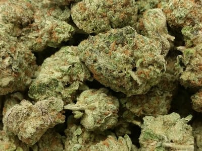 Tumbleweed's Dispensary & CBD