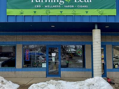 Turning Leaf - Alexandria