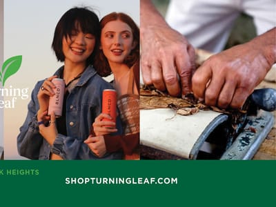 Turning Leaf - Alexandria