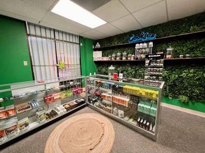 Twenty Past Four LLC