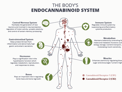 Twin Apothecary by Liberty Medical