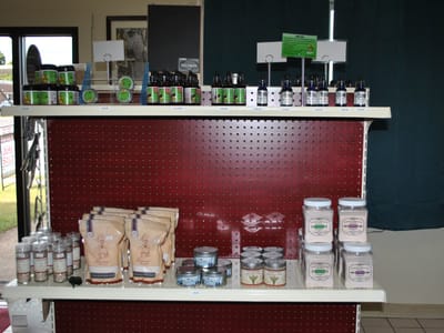 U.P. Chaga Connection Inc.