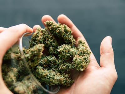 URB Cannabis Dispensary Vassar