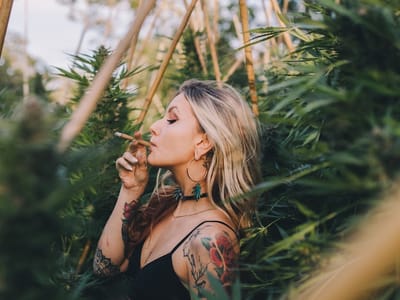 URB Cannabis Dispensary Vassar