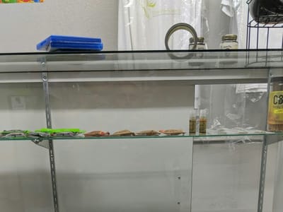 Urban Flavors Essence Hemp CBD Dispensary