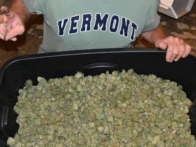 Vermont Flower Company CBD