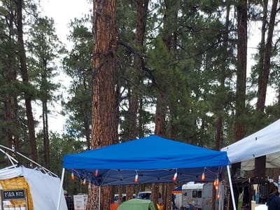 Violet's Miracle CBD Store