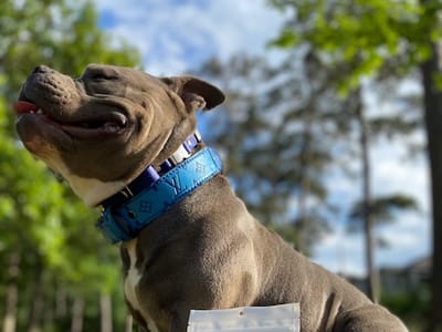 Vital Relieve Shop | CBD | Delta 8 | Delta 10 | THC O | THC P